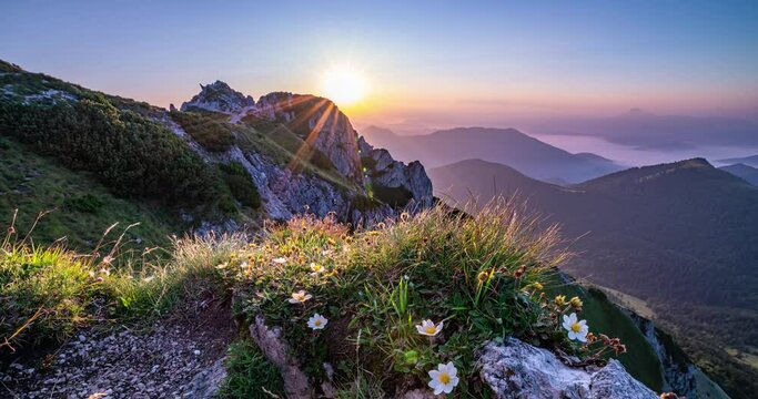 Beautiful Sunset in alpine mountains nature with white flowers in magic evening landscape Time lapse