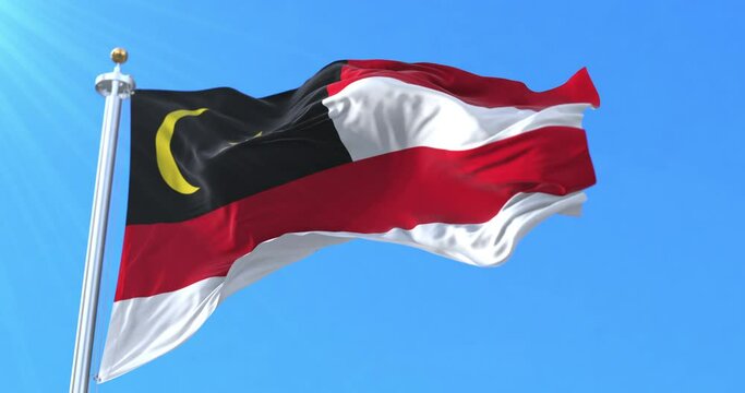 Flag of Patani United Liberation Organisation, Thailand. Loop