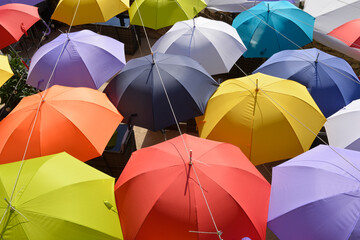 Foule de parapluies multicolores