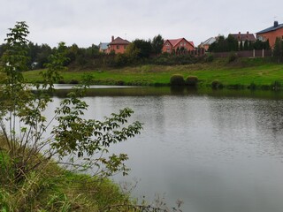 landscape with lake and trees