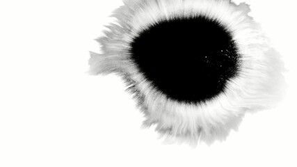 A drop of black ink slowly expanding on white background