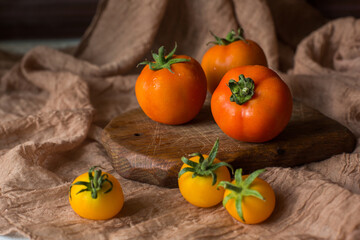 Fresh tomatoes on a wooden board. Red, orange and yellow tomatoes on a brown background. Picking tomatoes