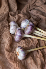Heads of garlic on a brown background. Harvesting