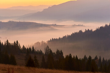 Landscape in the mountains. Autumn dawn against the background of forest and heavy fog