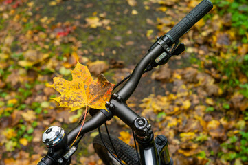  maple leaf on a bike