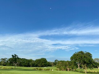 golf course in the summer