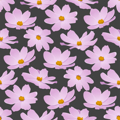seamless floral pattern cosmos