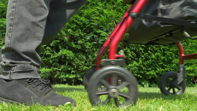 Close POV ground level shot of an elderly person&rsquo;s lower half pushing a rollator / adult stroller on grass with a conifer hedge in the background.