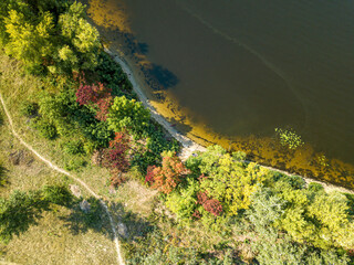 Yellow and red autumn trees on the river bank. Sunny autumn day. Aerial drone top view.