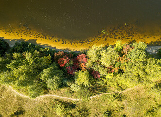 Yellow and red autumn trees on the river bank. Sunny autumn day. Aerial drone top view.