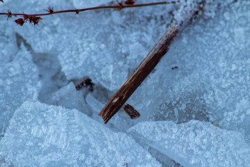 snow on a fence
