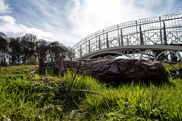 bridge over the river