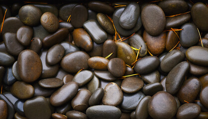 wet stones after the rain close-up