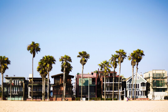 The Los Angeles Venice Beach with palm trees and expensive beach houses