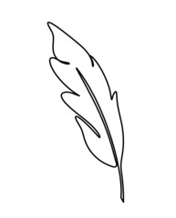 Silhouette of abstract feather as line drawing on white. Vector