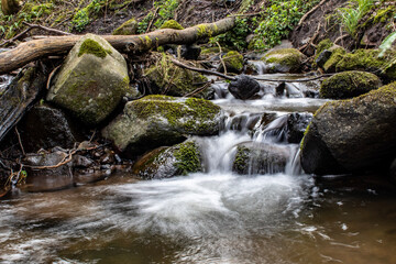 Fototapeta premium waterfall in the forest