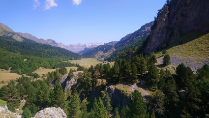 Fototapeta na wymiar Vallée d'Ossau Pyrénées