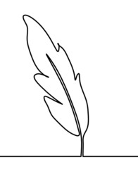 Silhouette of abstract feather as line drawing on white. Vector