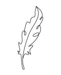 Silhouette of abstract feather as line drawing on white. Vector