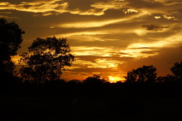 Fototapeta na wymiar スリランカ・ポロンナルワ近郊の夕焼け