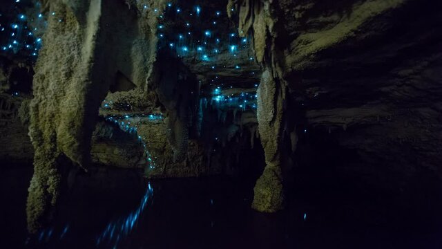 primal earth images glow worm inside cave and formations 