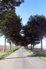 Sunk Island, East Riding of Yorkshire.