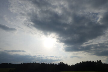 Landwirtschaft/ Feld