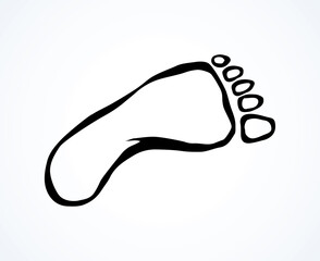 Foot. Vector drawing