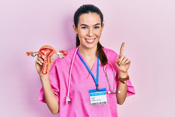 Young brunette doctor woman holding anatomical model of female genital organ smiling with an idea...