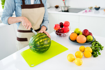 Cropped photo of mature lady cut watemalon wear apron jeans shirt at kitchen alone