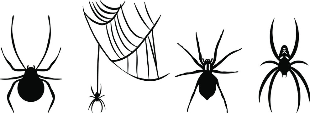 Vectors of the spiders - Spiderweb