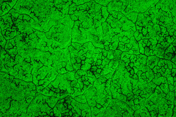 Green texture for your design