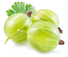 Three green ripe gooseberries with leves on white background. Close-up.