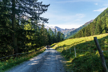 Ein Wanderweg im Zillertal in Tirol