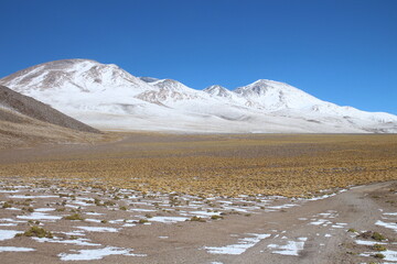 incredible volcanic and desert landscape of the Argentine Puna