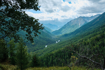 Beautiful nature of the Altai mountains