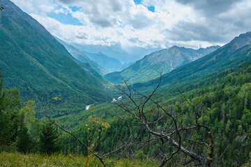 Beautiful nature of the Altai mountains