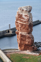 Die Lange Anna , das Wahrzeichen der Insel Helgoland mit der Basstölpelkolonie.