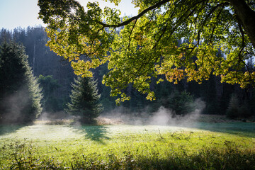 Herbstliche Landschaft im Frühnebel, der Harz am Morgen bei aufsteigenden Nebelschwaden