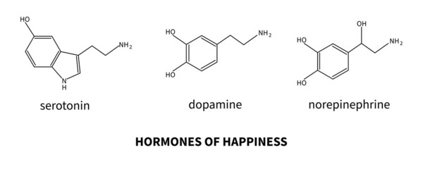 Hormones of happiness - serotonin, dopamine, norepinephrine - 459114620