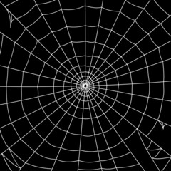 cobweb theme background free vector