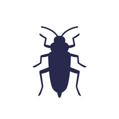 borer bug icon on white, woodboring beetle
