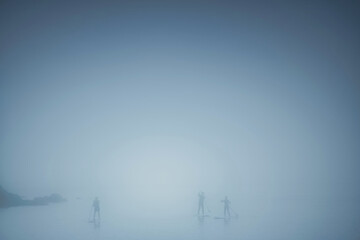 Fototapeta na wymiar in the fog