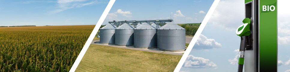 Collage of three parts: corn field, agricultural silos, biofuel filling station. Carbon neutral fuel production concept