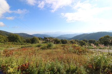 新潟県湯沢の苗場山の登山