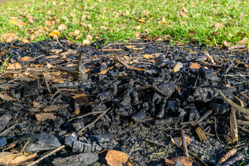 Ground after fire