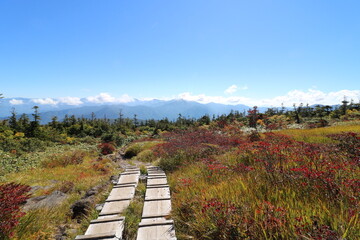 Fototapeta premium 新潟県湯沢の苗場山の登山
