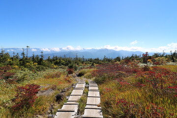 新潟県湯沢の苗場山の登山