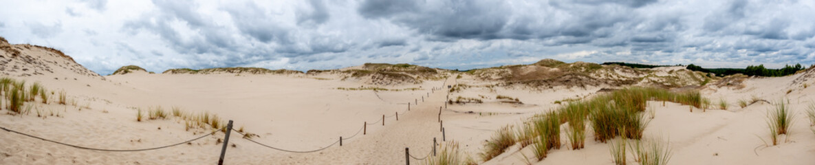 Panorama of the sand dunes absorbing the forest in Słowiński National Park in Poland.  Photo taken in good lighting conditions on a cloudy day