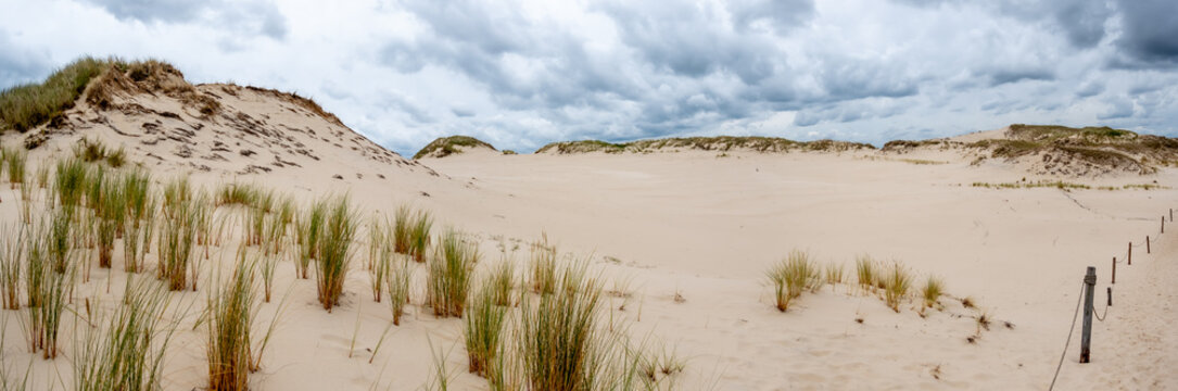 Panorama of the sand dunes absorbing the forest in Słowiński National Park in Poland.  Photo taken in good lighting conditions on a cloudy day